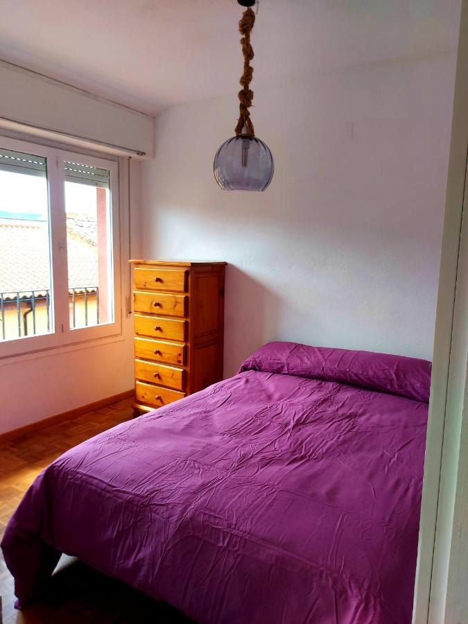 Luminoso, Centrico Y Silencioso Apartamento Jaca Exteriér fotografie